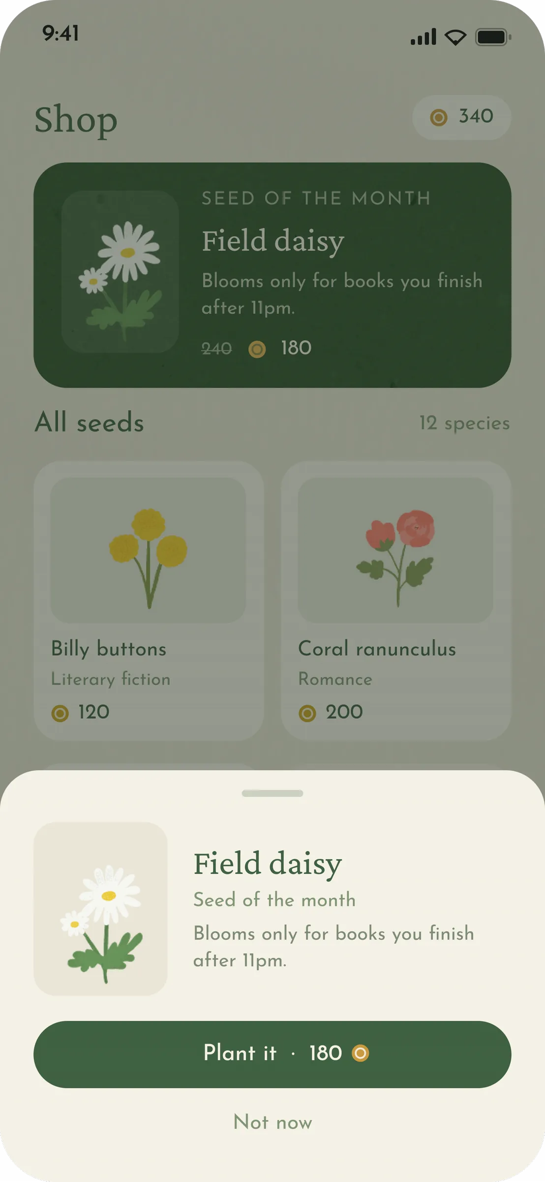 Buy sheet for the Field daisy